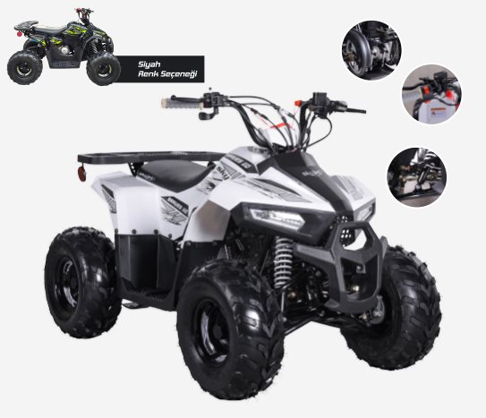 110CC Off Road Benzinli Atv Skyjet