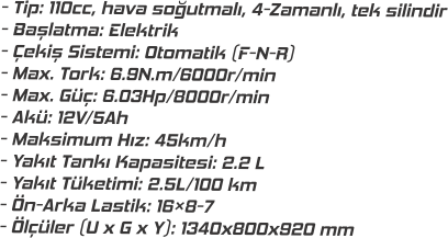 110CC Off Road Benzinli Atv Skyjet